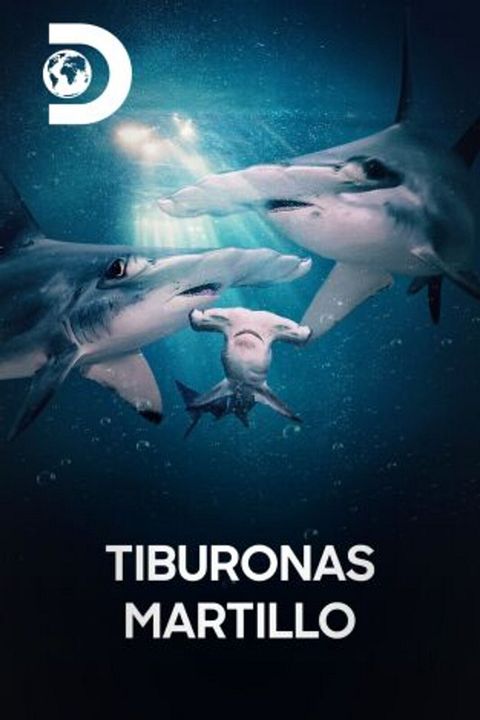 Tiburonas martillo : Cartel