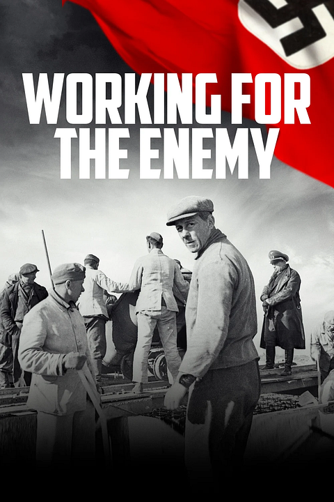 Working for the Enemy : Cartel