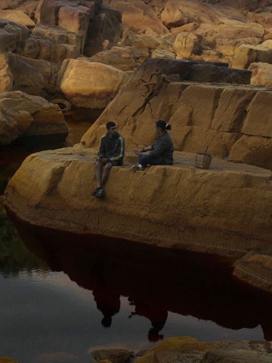 Como todo mortal : Cartel