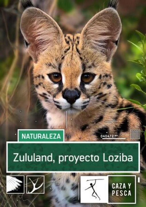 Zulú Land Proyecto Loziba : Cartel