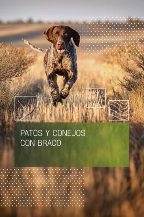 Patos y conejos con braco : Cartel