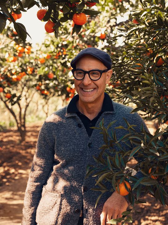 Tucci en Italia : Cartel