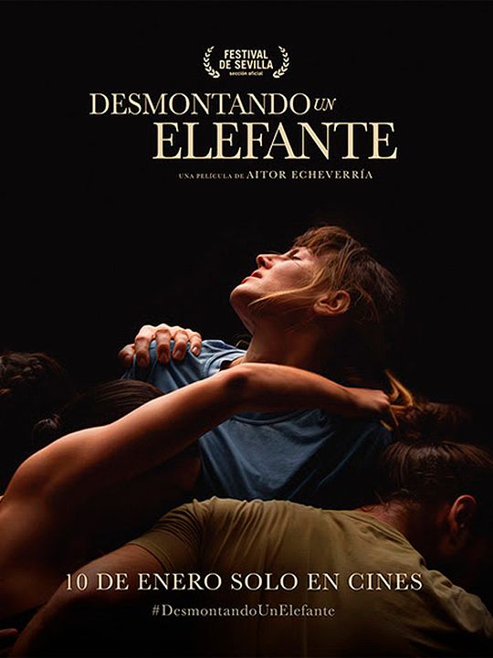 Desmontando un elefante : Cartel