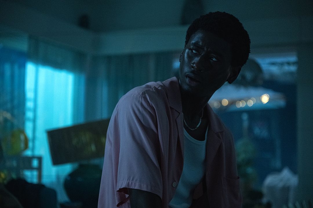 Primate : Foto Tienne Simon