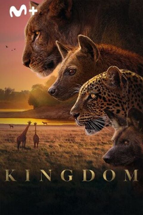 Kingdom : Cartel