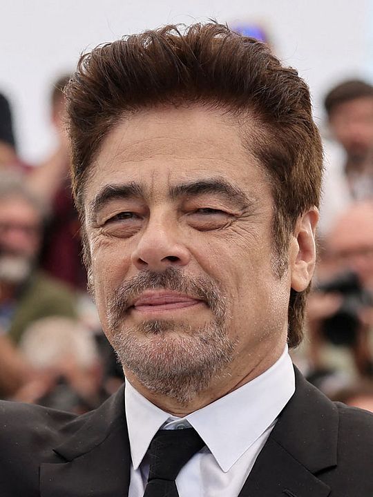 Cartel Benicio Del Toro