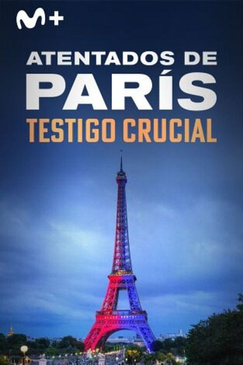Atentados de París: testigo crucial : Cartel