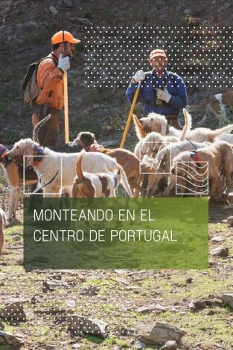 Monteando en el centro de Portugal : Cartel