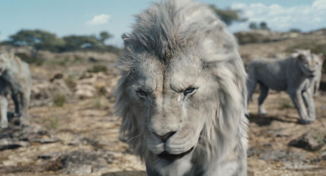 Mufasa: El rey león : Foto