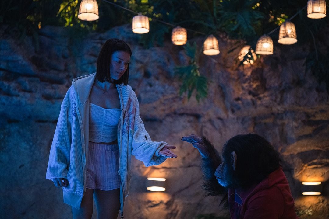 Primate : Foto Miguel Torres Umba, Jessica Alexander