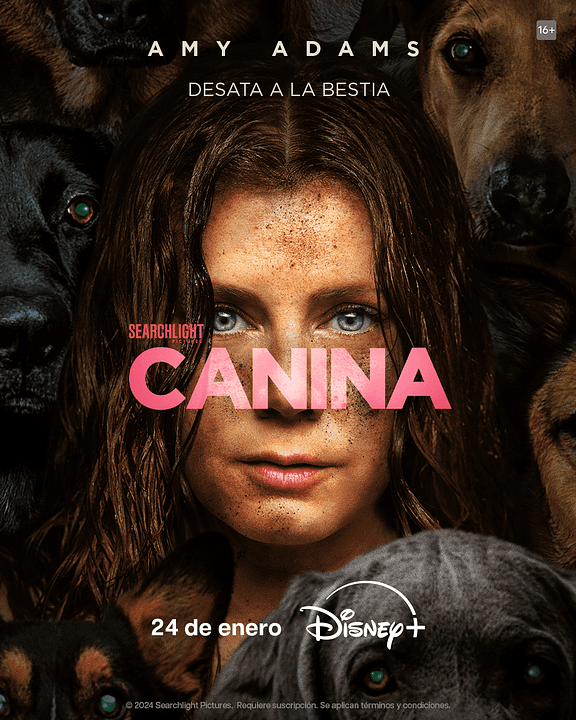 Canina : Cartel
