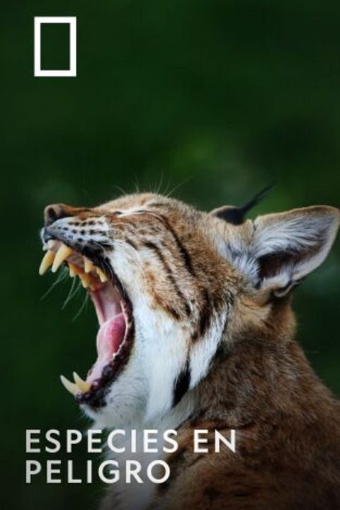 Especies En Peligro : Cartel