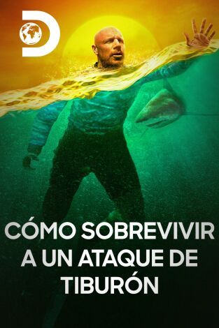 Cómo sobrevivir a un ataque de tiburón : Cartel