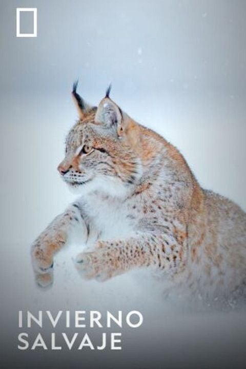 Expedición salvaje : Cartel