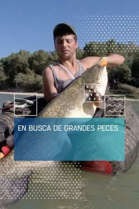 En busca de peces grandes : Cartel