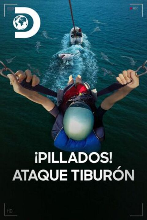 ¡Pillados! Ataque tiburón : Cartel