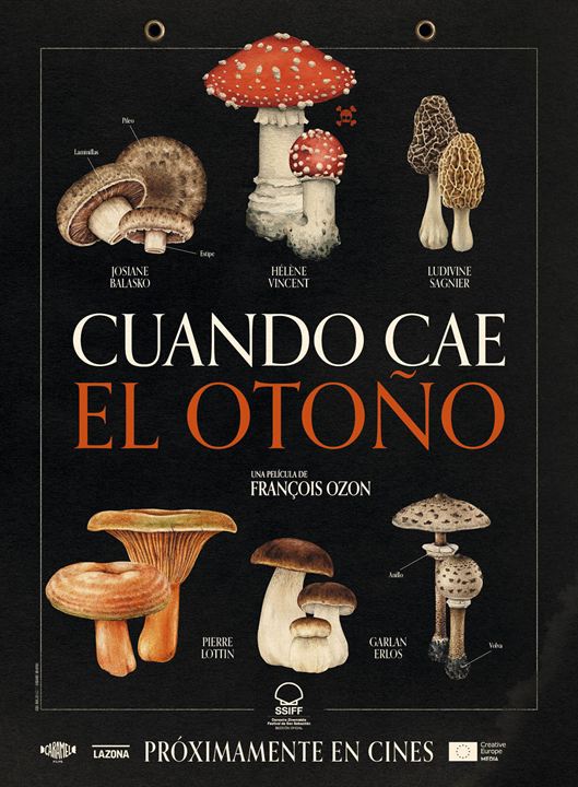 Cuando cae el otoño : Cartel