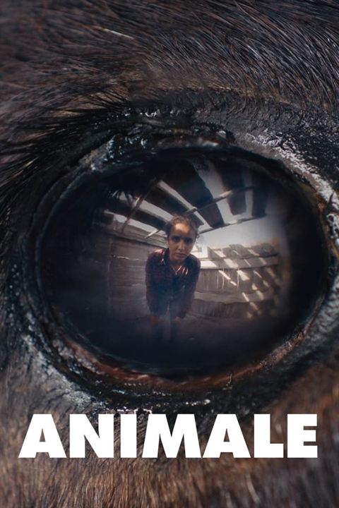 Animale : Cartel