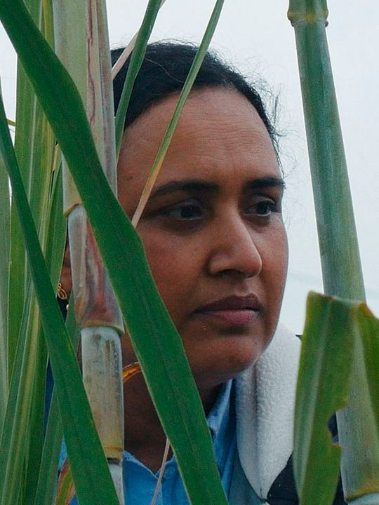 Historias del buen valle : Cartel