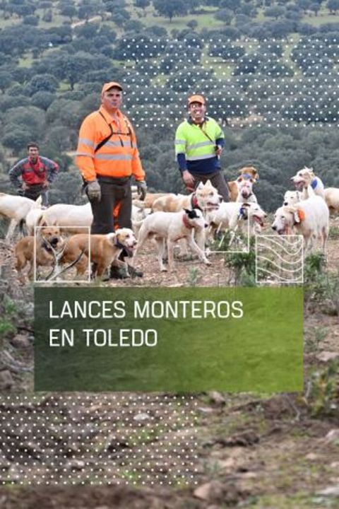 Lances monteros en Toledo : Cartel