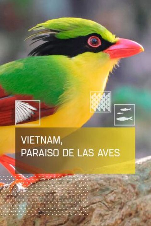 Vietnam, paraíso de las aves : Cartel