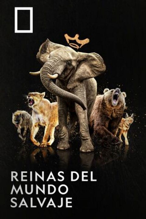 Reinas del mundo salvaje : Cartel