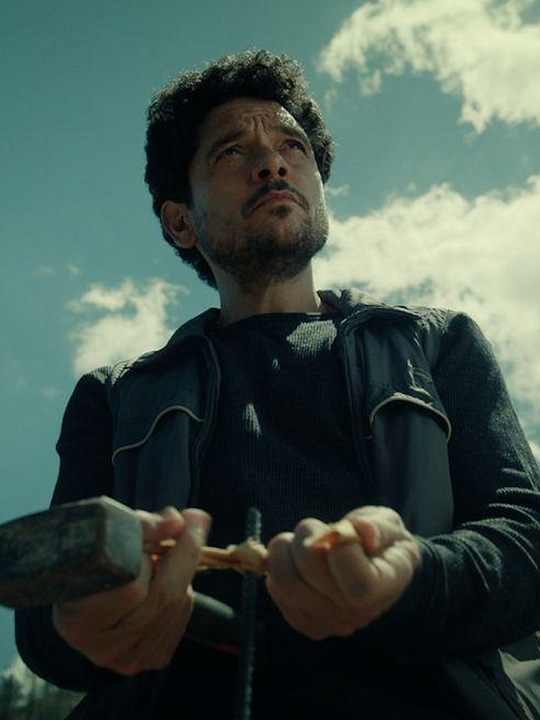 En L'eixam (En el enjambre) : Cartel