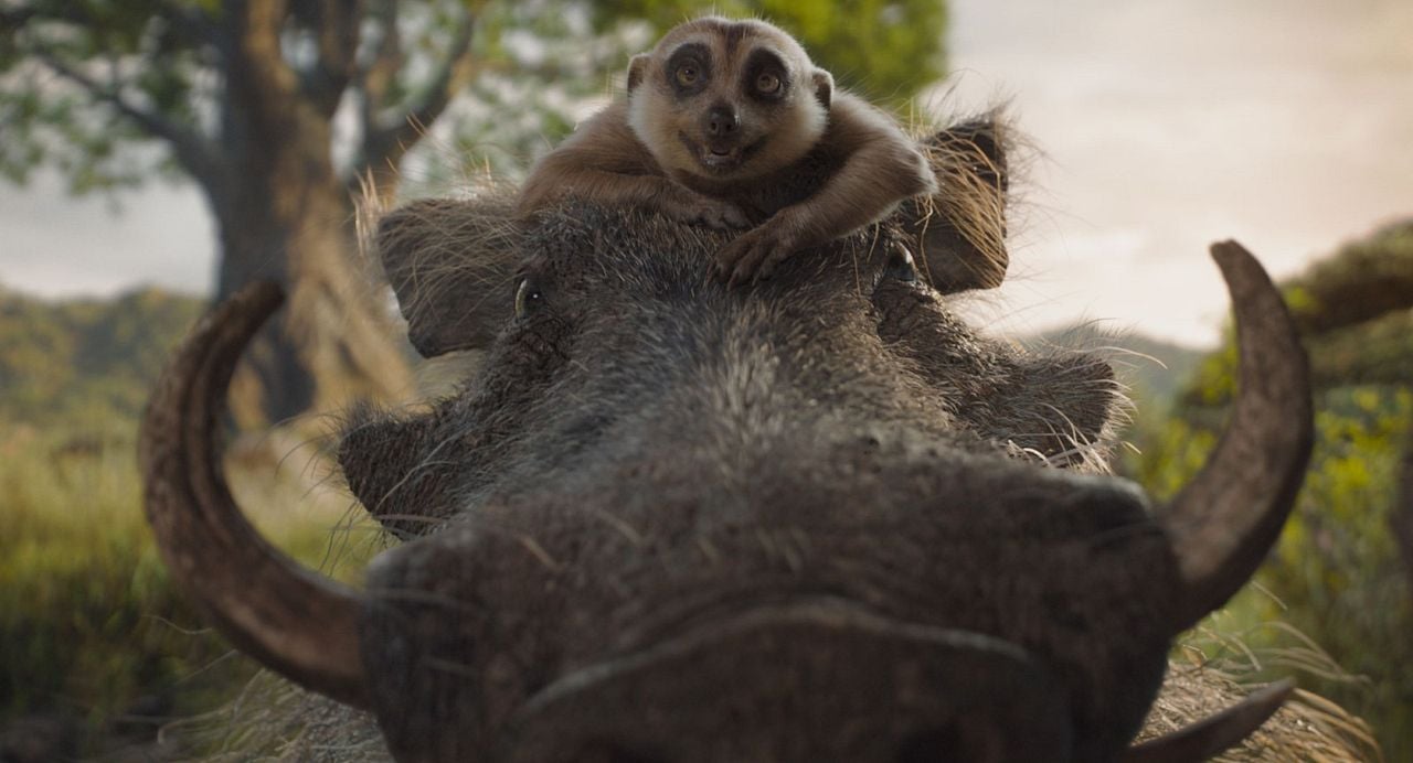 Mufasa: El rey león : Foto