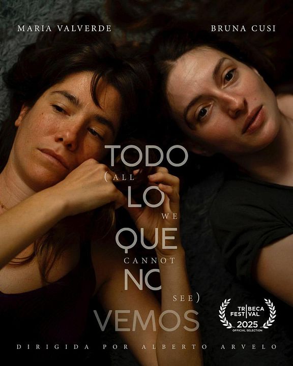 Todo lo que no vemos : Cartel
