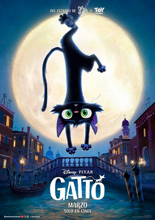 Gatto : Cartel