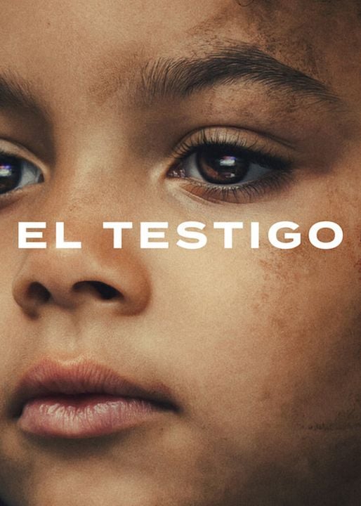 El testigo : Cartel