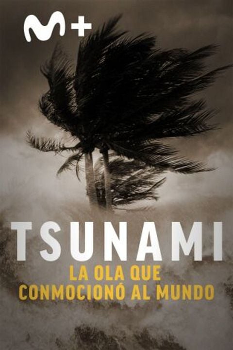 Tsunami: la ola que conmocionó al mundo : Cartel