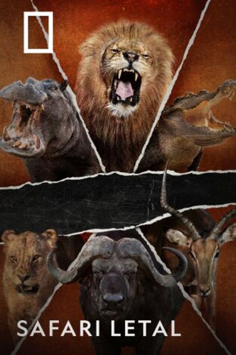 Safari letal : Cartel