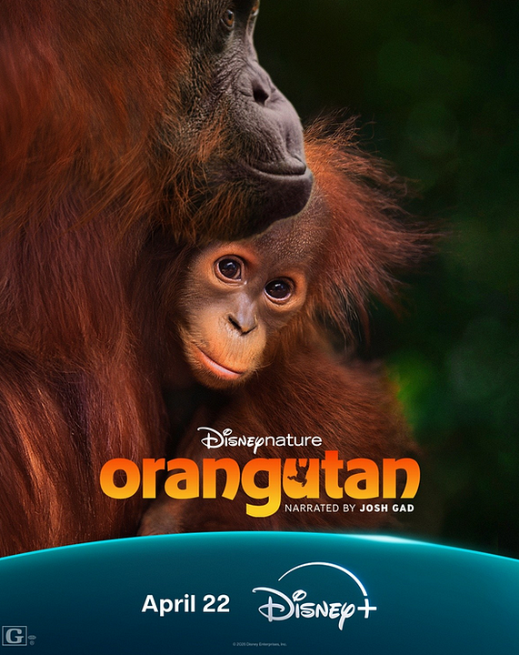 Orangutan : Cartel