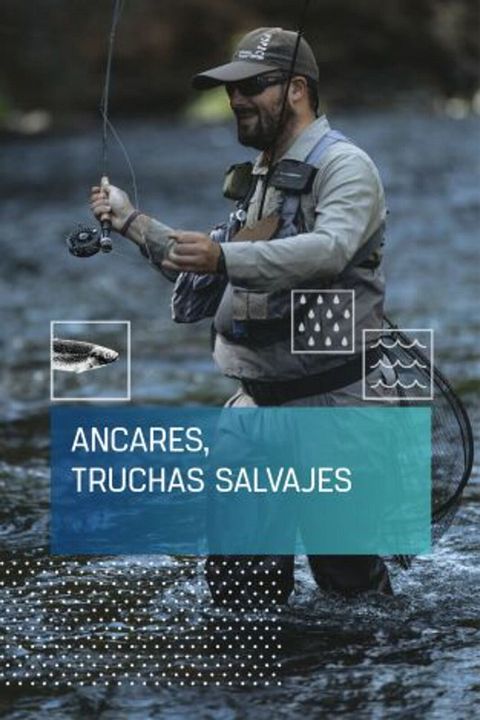 Ancares, truchas salvajes : Cartel