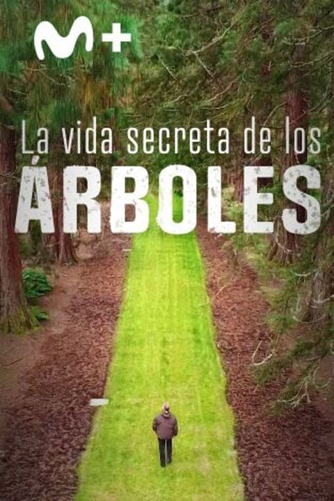 La vida secreta de los árboles : Cartel