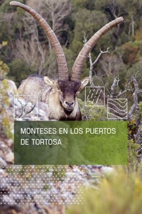 Monteses en los puertos de Tortosa : Cartel