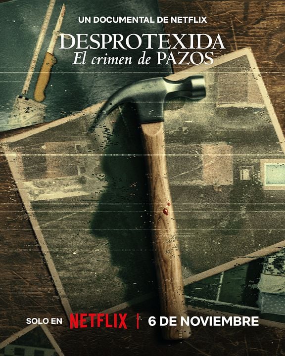 Desprotexida: El crimen de Pazos : Cartel