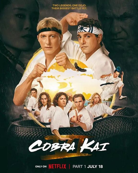 Cobra Kai : Cartel