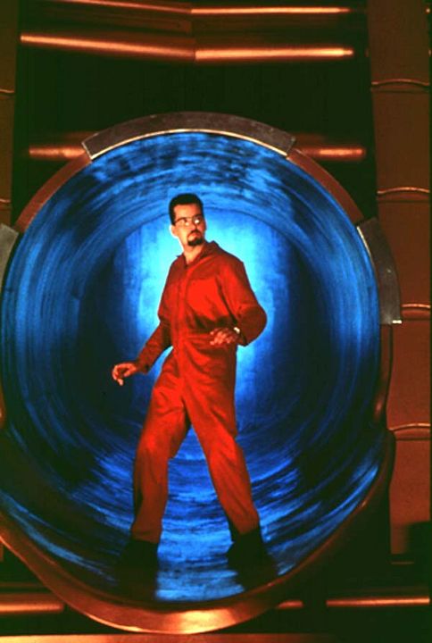 ¡Han llegado! : Foto