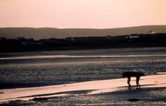 De profesión Solteros : Foto