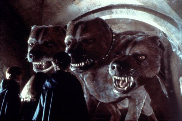 Harry Potter y la Piedra Filosofal : Foto