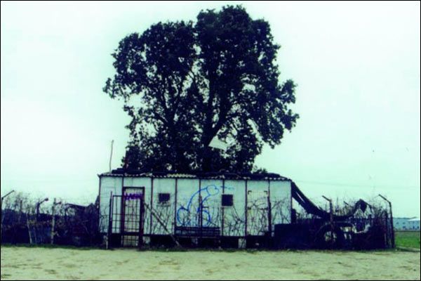 L'après-midi d'un tortionnaire : Foto