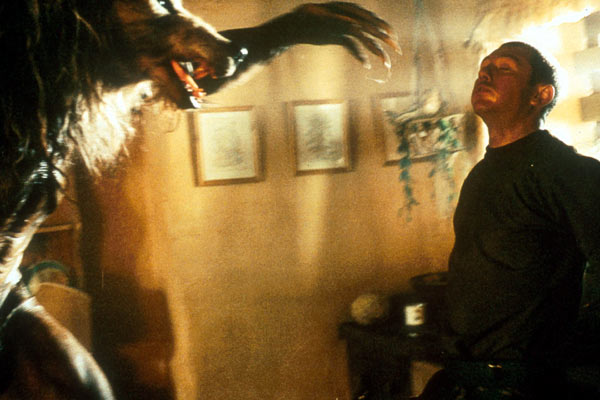 Dog Soldiers : Foto