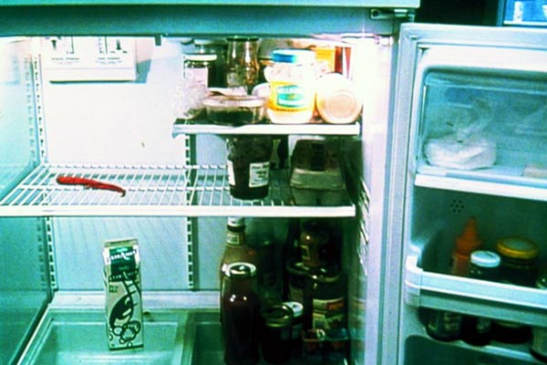 El lado izquierdo del refrigerador : Foto Philippe Falardeau