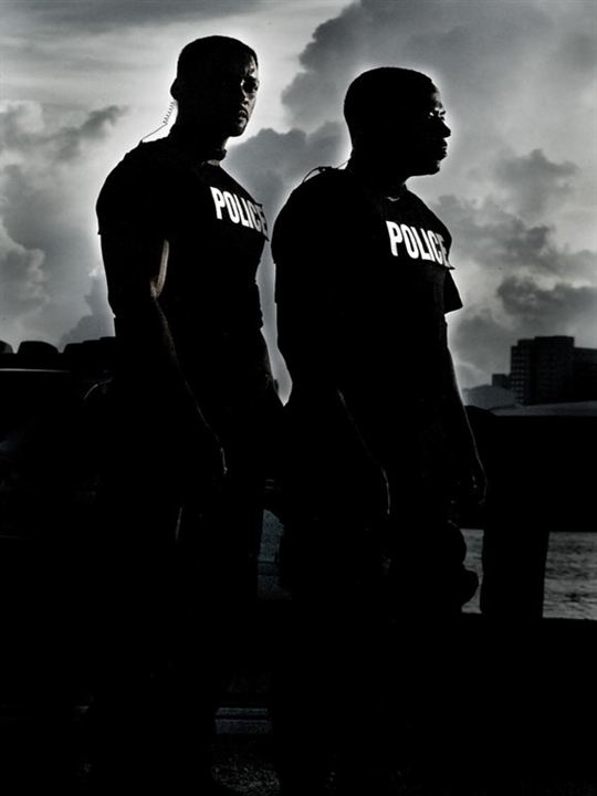 Dos policías rebeldes II : Cartel