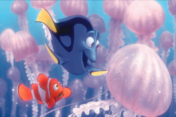 Buscando a Nemo : Foto