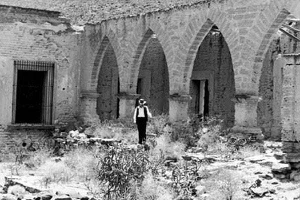 Grupo salvaje : Foto