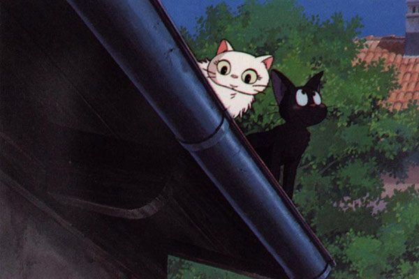 Nicky, la aprendiz de bruja : Foto