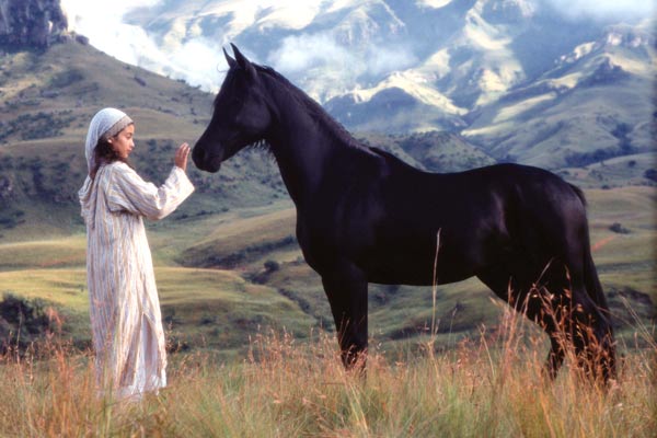 Shetan, el caballo del desierto : Foto Biana Tamimi